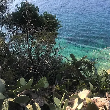 Il Polpoleo In Isola D'elba Appartamento Porto Azzurro