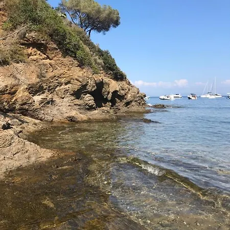 Il Polpoleo In Isola D'elba * ポルト・アッズッロ