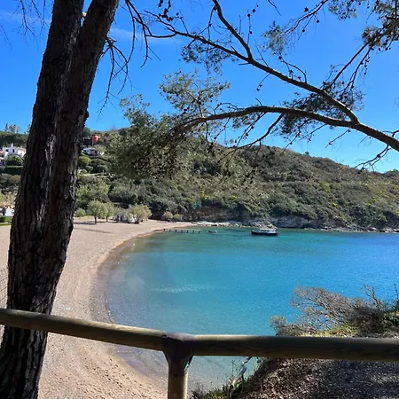 アパート Il Polpoleo In Isola D'elba ポルト・アッズッロ